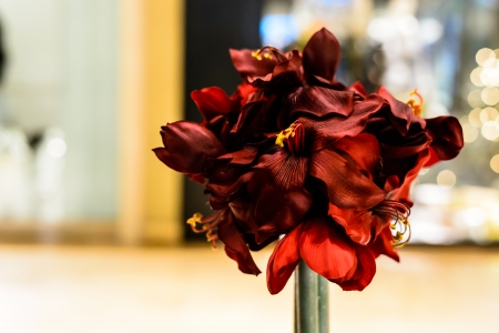 Colorful flower redの写真素材