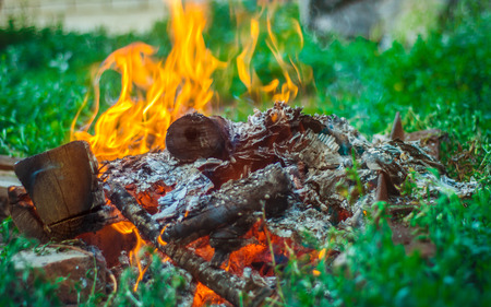 Warm bonfire among green grassの写真素材