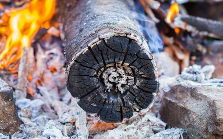 smoldering timber in the bonfire.の写真素材