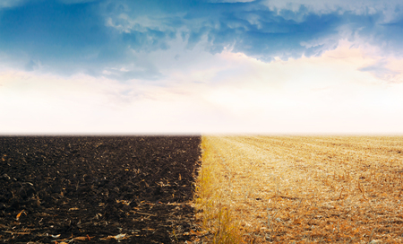 The field where one part with dried grass and second with ground and blue dramatic sky with cloudsの写真素材