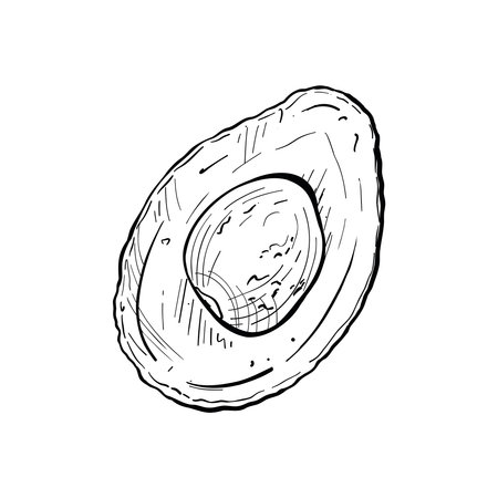 Avocado half vector illustration. Avocado fruit ripe part cut and seed. Black outline graphic drawing. Tropical vegan food ink line contourのイラスト素材