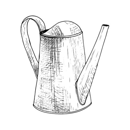 Watering can metal vector illustration. Curved gardening water. Black outline graphic drawing. Ink line contour silhouette outlineのイラスト素材