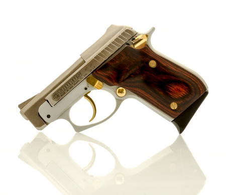 Winneconne, WI - 13 April 2016:  Taurus .22 caliber pistol on an isolated background.のeditorial素材