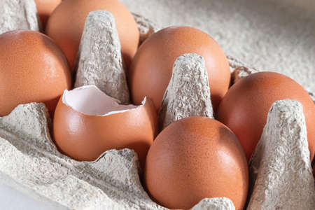Fresh chicken eggs in a package. One egg is broken.