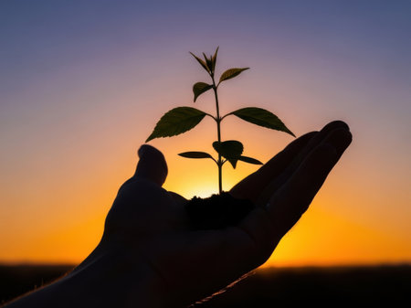 The image captures a silhouette of a hand gently holding a small plant with a few leaves. The plant is positioned in the center of the hand, which is slightly cupped to support it. The background features a vibrant sunset with hues of orange and yellow, creating a dramatic contrast with the dark silhouette of the hand and plant. The scene evokes themes of nurturing, growth, and hope.の素材
