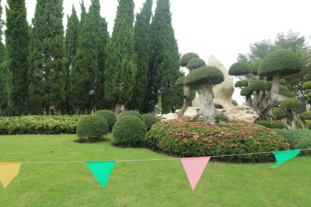 Green Parkの写真素材