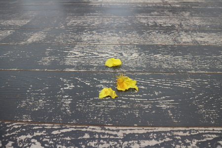 Wooden floorの写真素材