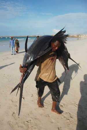 MOGADISHU, SOMAL&#304;A-APR&#304;L 29, 3013: Fishermen at the port of Mogadishuのeditorial素材