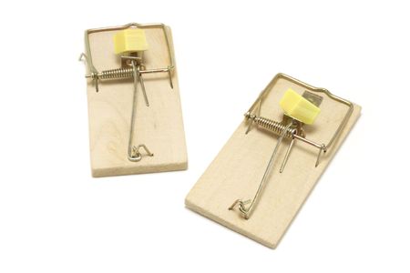 Mouse traps on white background
