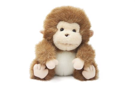 Soft Toy  Monkey on White Backgroundの写真素材