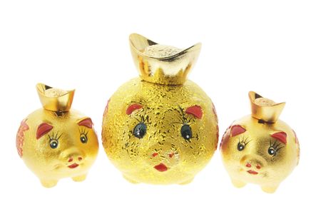 Chinese Gold Piggybanks on White Backgroundの写真素材