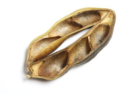 Dried Pod Shell on Isolated White Backgroundの写真素材