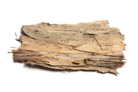 Piece of Tree Bark on White Backgroundの写真素材