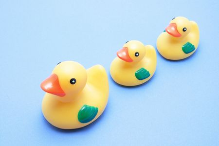 Rubber Ducks on Blue Backgroundの写真素材