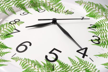 Composite of Wall Clock and Fern Leavesの写真素材