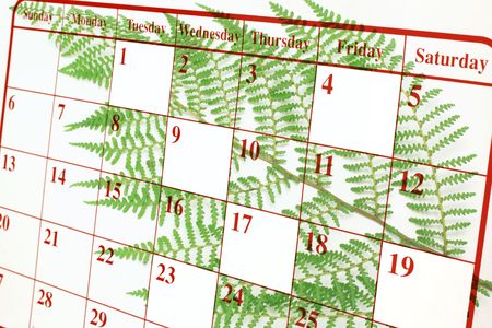 Composite of Calendar Page and Fernの写真素材