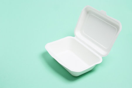 Polystyrene Food Box on Green Background
