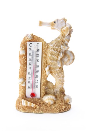 Thermometer on White Background