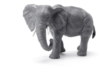 Miniature Elephant on White Backgroundの写真素材