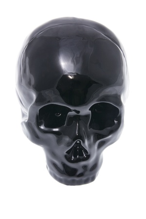 Skull on White Backgroundの写真素材