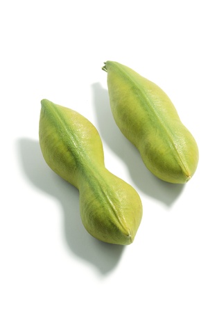 Black Bean Seed Pods on White Backgroundの写真素材