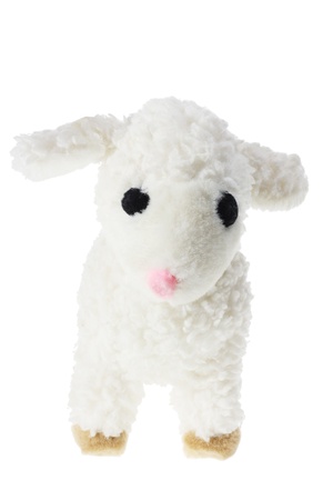Soft Toy Lamb on White Backgroundの写真素材