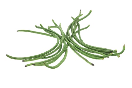 Snake Beans on White Background