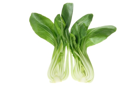 Chinese Cabbage on White Backgroundの写真素材