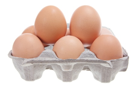 Eggs on Carton with White Background 