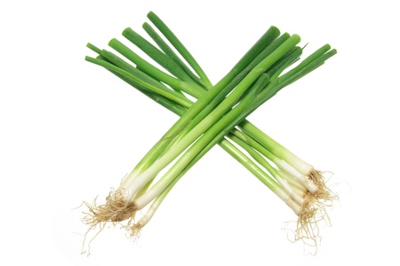 Green Onions on White Backgroundの写真素材