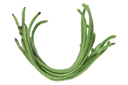 Snake Bean on White Background