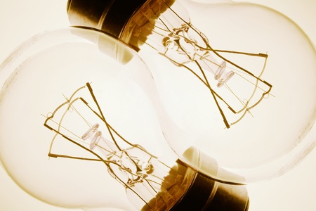 Light Bulbs in Warm Cast