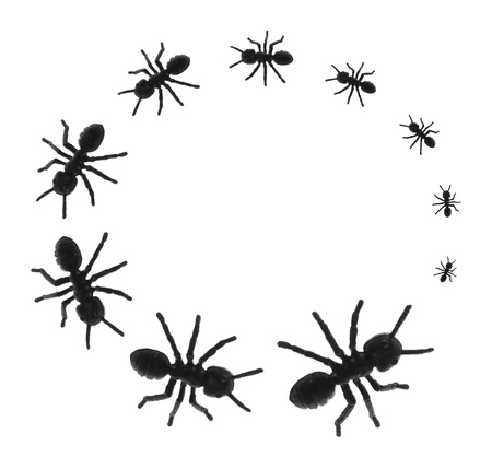 Toy Ants in Circle on White Backgroundの写真素材