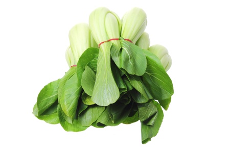 Bok Choy on White Backgroundの写真素材