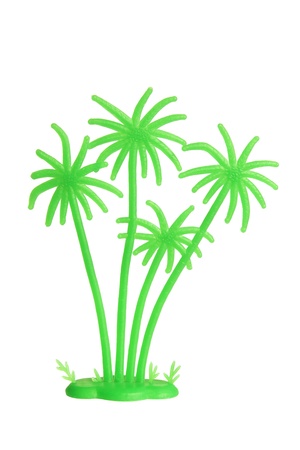 Miniature Palm Tree on White Backgroundの写真素材