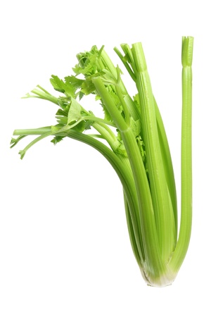 Celery on White Backgroundの写真素材