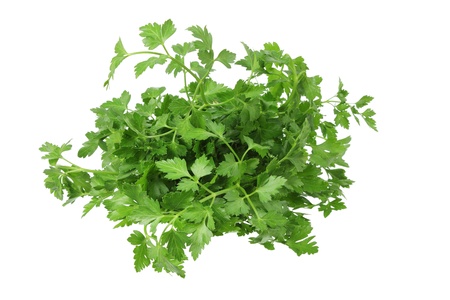 Parsley on White Background