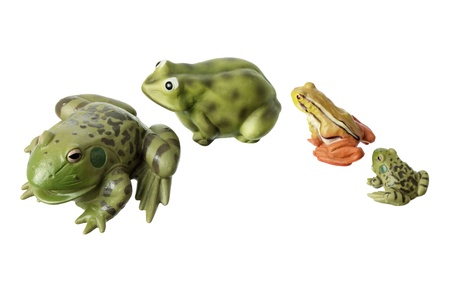 Miniature Toy Frogs on White Backgroundの写真素材