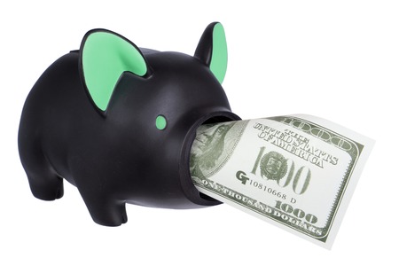 Piggy Bank with Dollar Note on White Backgroundの写真素材