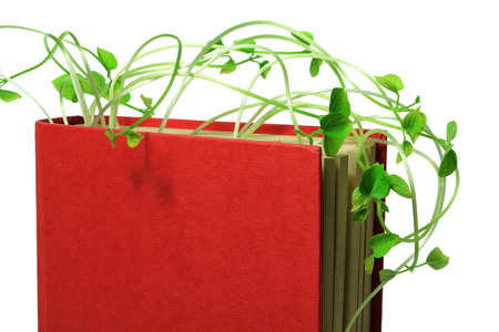 Close Up of Book and Sproutsの写真素材