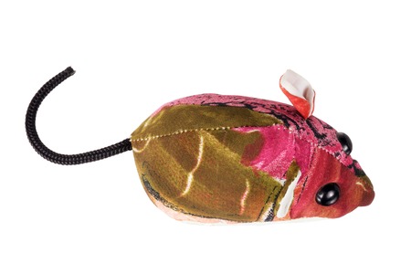 Toy Mouse on White Backgroundの写真素材