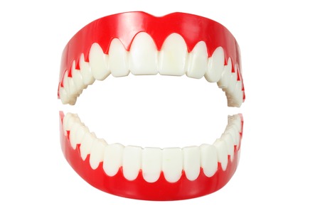 Denture on White Backgroundの写真素材