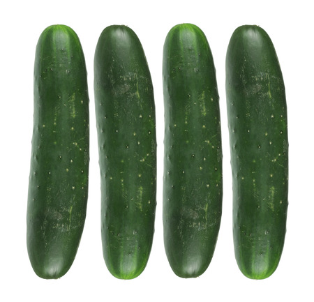 Cucumbers on White Backgroundの写真素材