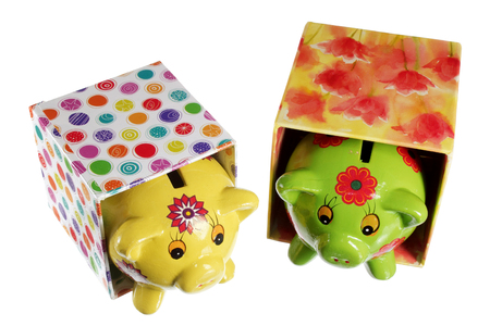 Piggy Banks on White Backgroundの写真素材
