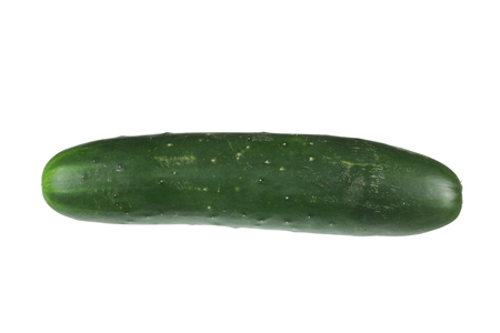 Cucumber on White Backgroundの写真素材