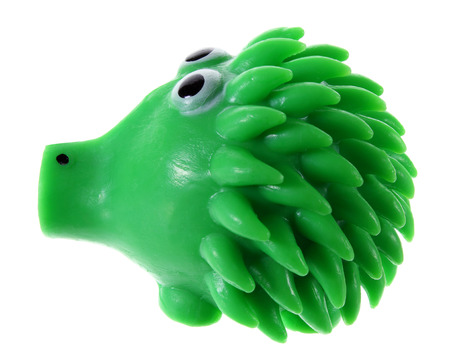 Porcupine on White Backgroundの写真素材