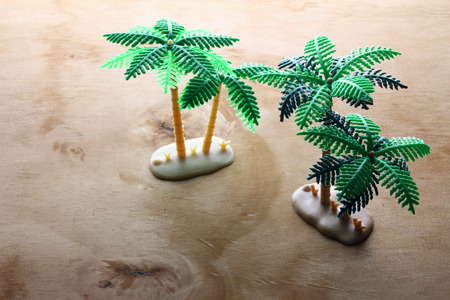 Miniature Palm Trees on Wooden Backgroundの写真素材