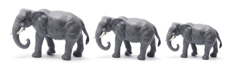 Toy Elephants on White Backgroundの写真素材