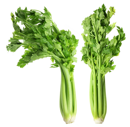 Celery on White Backgroundの写真素材
