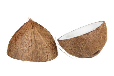 Coconut on White Backgroundの写真素材